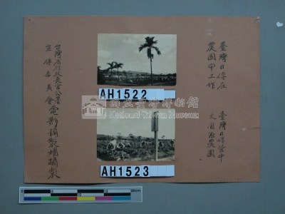 台灣日俘在農園工作藏品圖，第3張