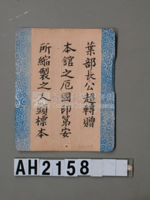 印第安人頭標本藏品圖，第2張