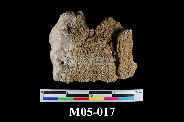 Hokutolite Collection Image, Figure 1, Total 6 Figures