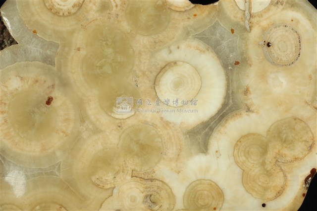 Aragonite Collection Image, Figure 18, Total 20 Figures