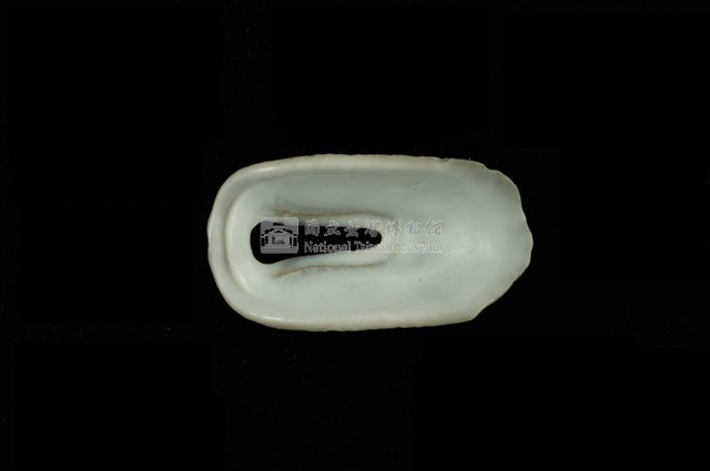 中華透孔螺藏品圖，第4張