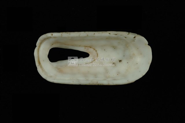 中華透孔螺藏品圖，第4張