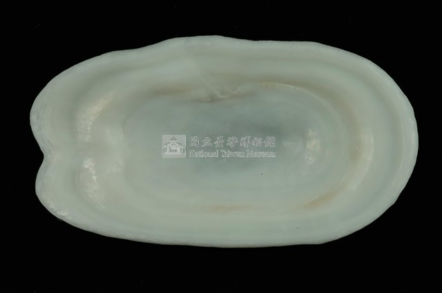 鴨嘴螺藏品圖，第4張