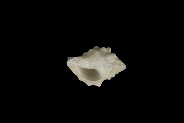 白結螺藏品圖，第4張