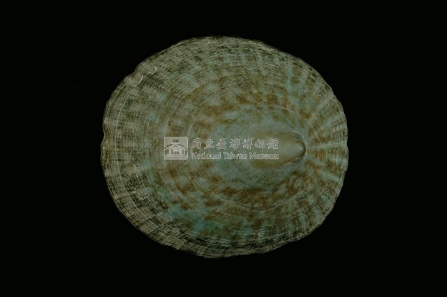 高青螺藏品圖，第1張