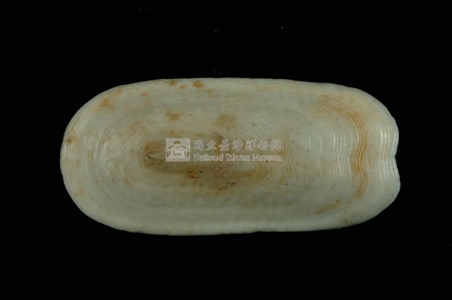 鴨嘴螺藏品圖，第1張