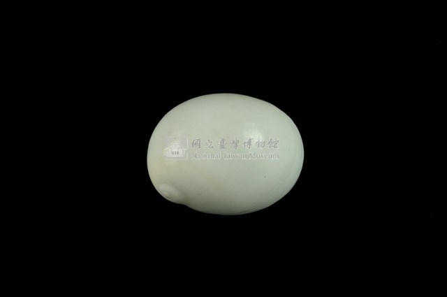相模灣玉螺藏品圖，第1張