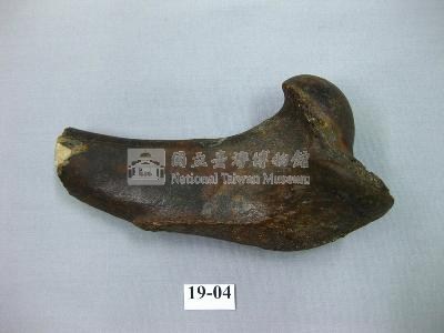 鬣狗肢骨藏品圖，第2張