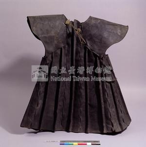 Accession Number:AT002496-002 Collection Image, Figure 16, Total 23 Figures