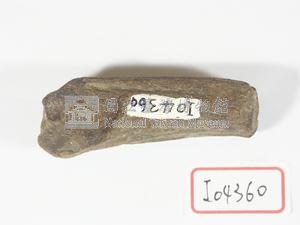 羌角藏品圖，第2張