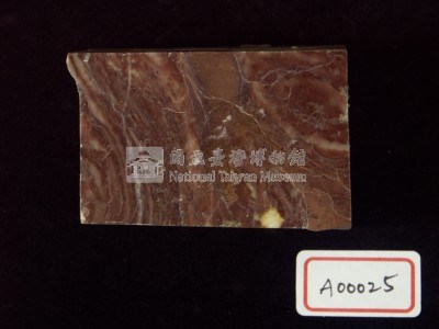 藻類化石藏品圖，第3張