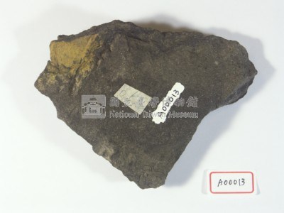 樹葉化石藏品圖，第3張