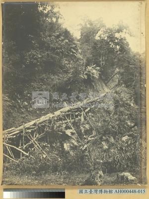 巒大山檜材山滑道之景藏品圖，第2張