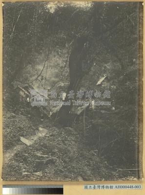 臺北州蘇澳郡南澳番地腦寮之景藏品圖，第3張