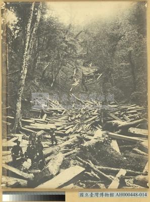 臺中州新高郡番地巒大山運材所作業之景藏品圖，第2張