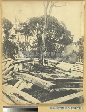 巒大山運材滑道之景藏品圖，第3張