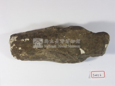 早坂犀尺骨近端藏品圖，第2張