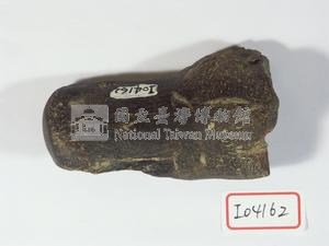 早坂犀牛指骨藏品圖，第1張