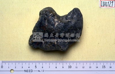 早坂犀腕骨化石藏品圖，第1張