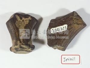 鹿角基部兩件藏品圖，第1張