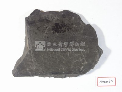 植物化石藏品圖，第2張