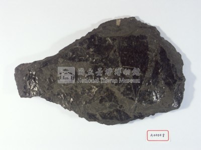 木化石藏品圖，第2張