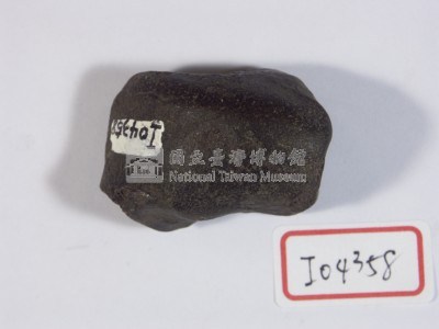 肉食類動物腕骨藏品圖，第1張