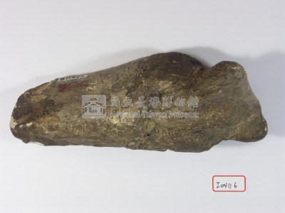 早坂犀尺骨近端藏品圖，第1張