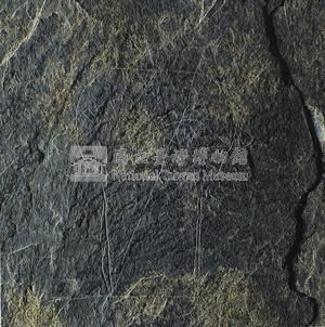 石雕人像藏品圖，第11張