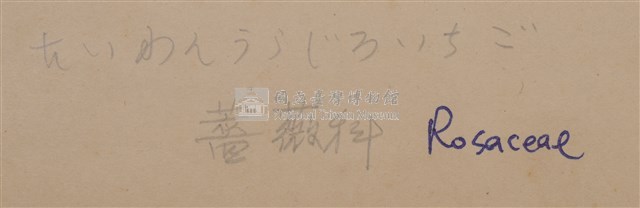 Rubus swinhoei Collection Image, Figure 2, Total 4 Figures