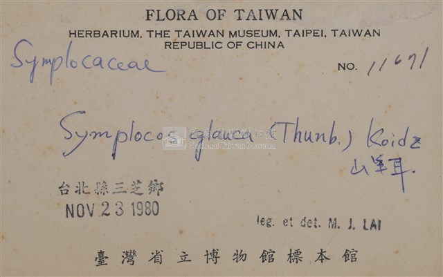 Symplocos glauca Collection Image, Figure 2, Total 3 Figures