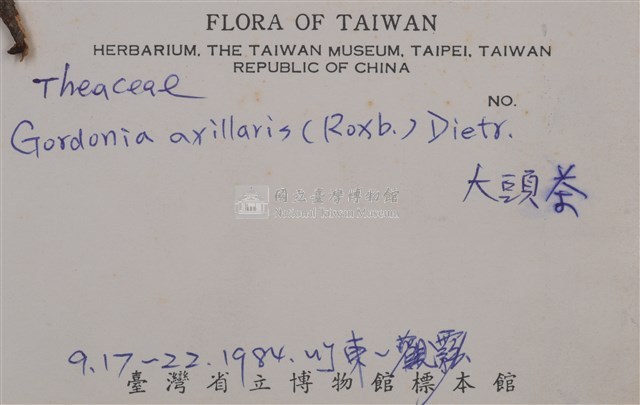 Gordonia axillaris Collection Image, Figure 2, Total 3 Figures