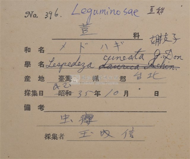 Lespedeza cuneata Collection Image, Figure 2, Total 3 Figures