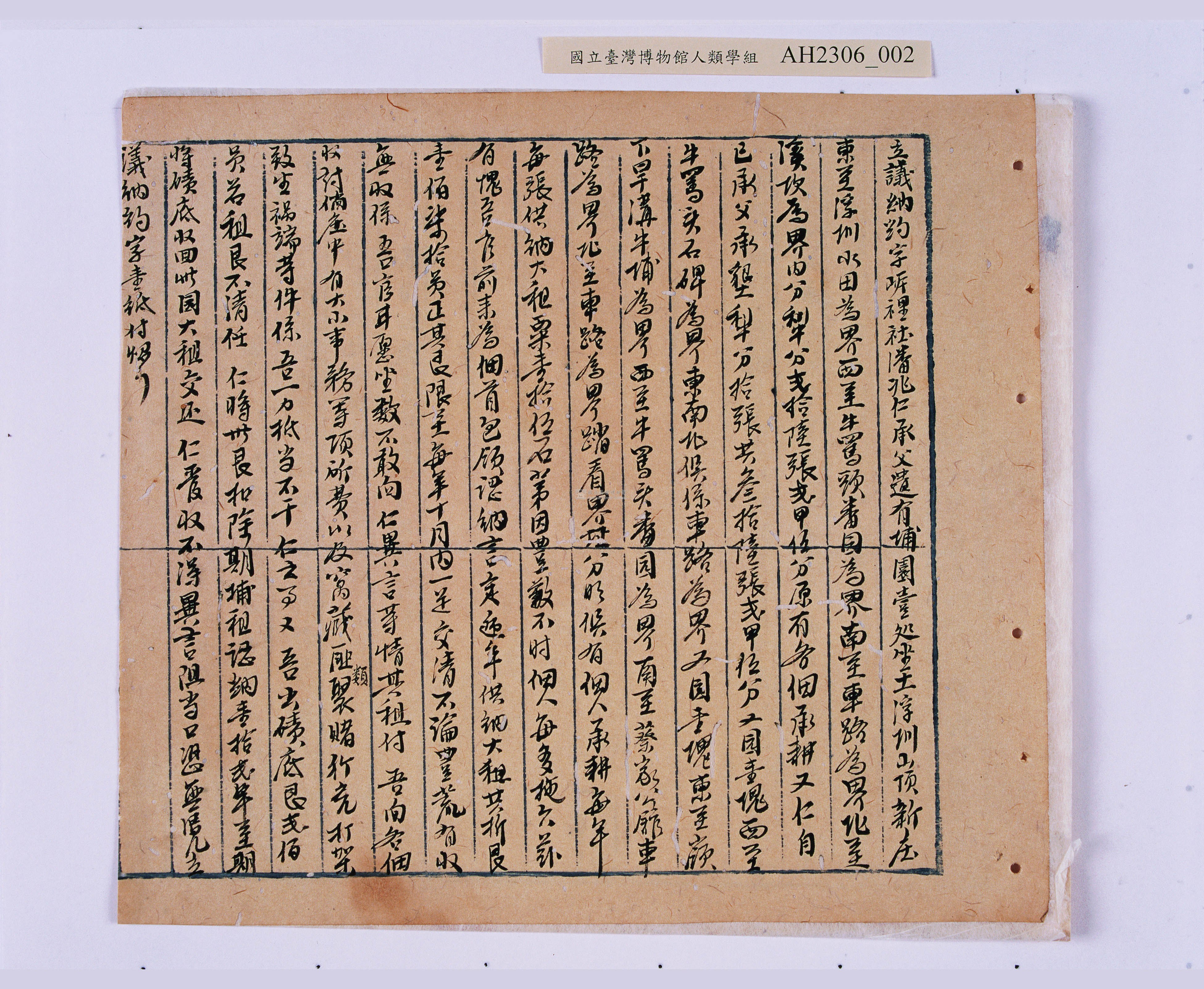 大圖瀏覽