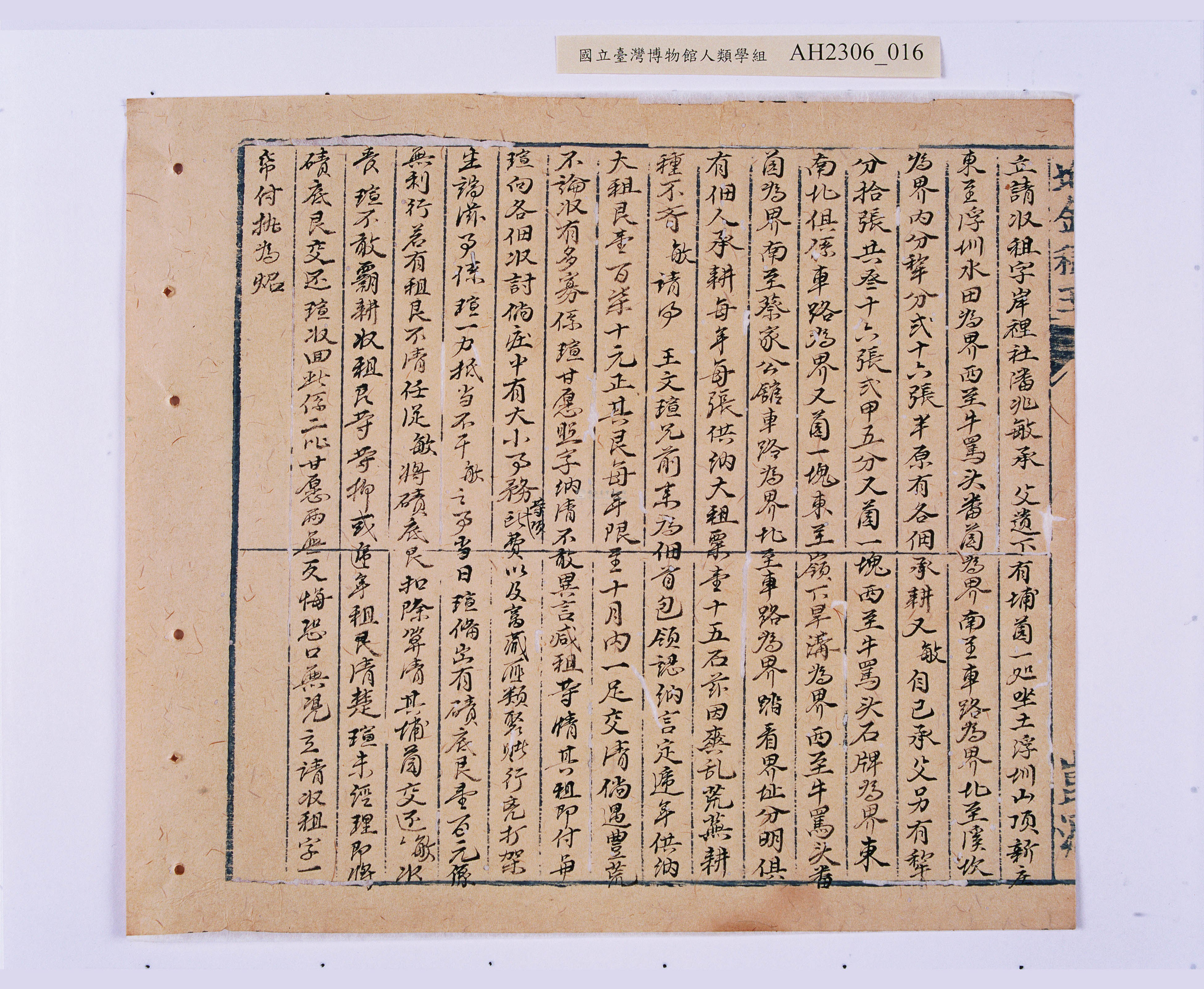 大圖瀏覽