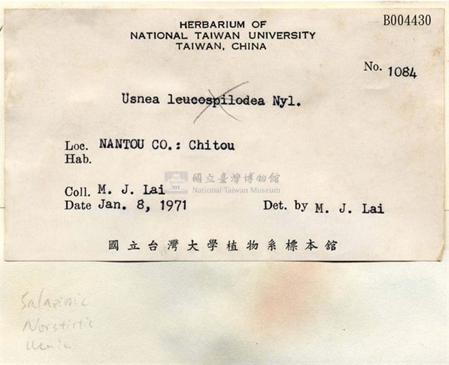 菘蘿屬藏品圖，第4張