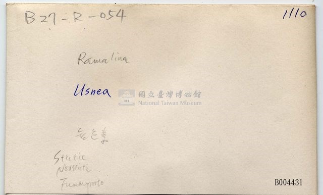 菘蘿屬藏品圖，第5張