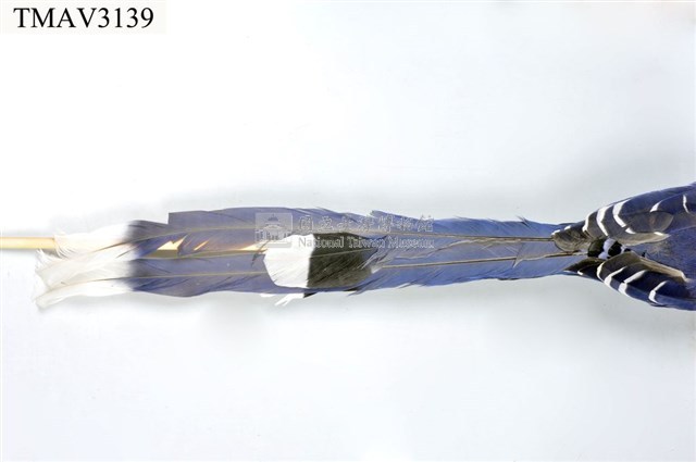 臺灣藍鵲藏品圖，第10張