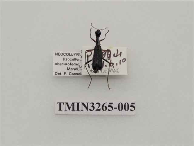 Accession Number:TMIN3265-005 Collection Image
