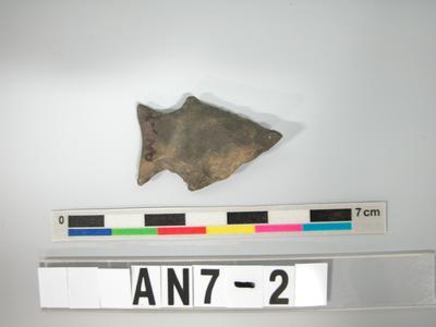 Arrowhead Collection Image, Figure 1, Total 2 Figures