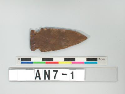 Arrowhead Collection Image, Figure 1, Total 2 Figures