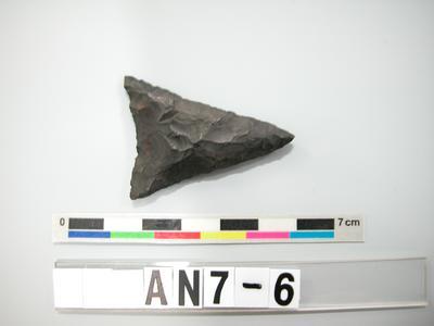 Arrowhead Collection Image, Figure 1, Total 2 Figures