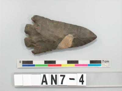 Arrowhead Collection Image, Figure 1, Total 2 Figures