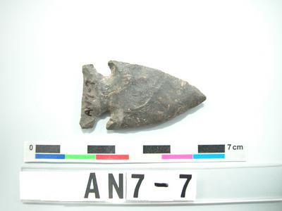 Arrowhead Collection Image, Figure 1, Total 2 Figures