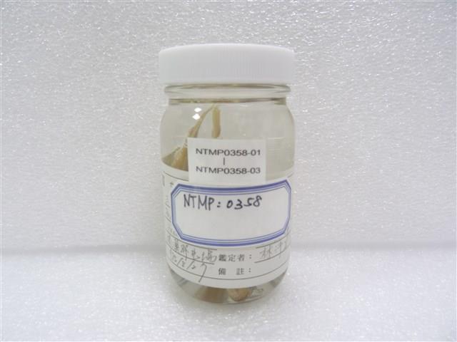 三線雞魚藏品圖，第2張