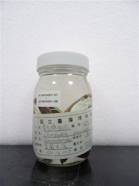 Accession Number:NTMP0001-05 Collection Image, Figure 2, Total 2 Figures
