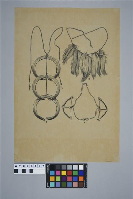 Accession Number:AT004457 Collection Image, Figure 1, Total 2 Figures