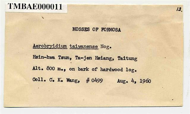 Aerobryidium taiwanense Nog. Collection Image, Figure 3, Total 10 Figures