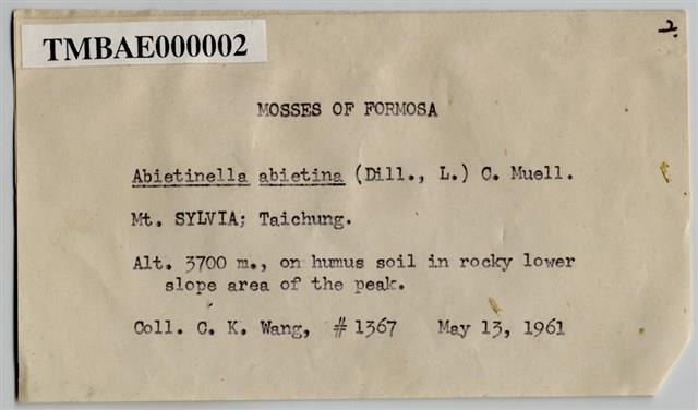 Abietinella abietina (Hedw.) Fleisch. Collection Image, Figure 3, Total 9 Figures