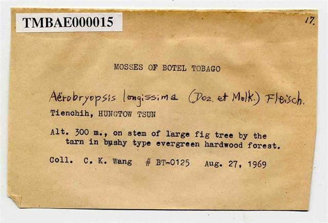 Aerobryopsis longissima Collection Image, Figure 3, Total 10 Figures